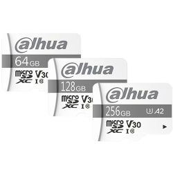 Dahua  DHI-TF-P100/256GB | Esentia Systems